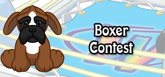 boxer contest