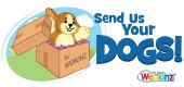 dogvideo_feature2